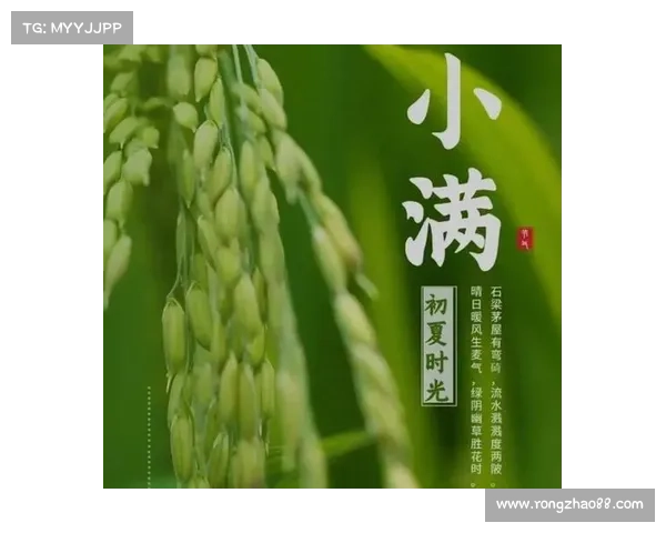 小满节气下的乡村生活五个温馨和谐瞬间展现自然与人文之美 小满节气下的乡村生活五个温馨和谐瞬间展现自然与人文之美