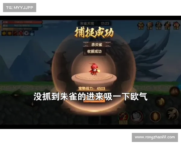 如何突破修炼瓶颈成功迈入朱雀天境的关键步骤与方法