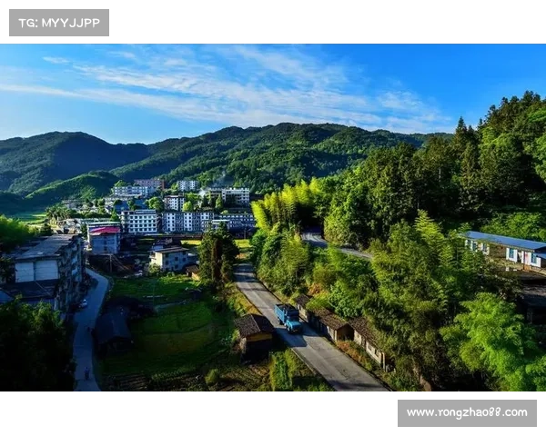 拉梅尔鲍尔的传奇之路三球绰号背后的成长奋斗与荣耀故事